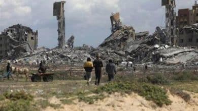 الأمم المتحدة: لا يمكن زراعة أكثر من 5% من أراضي غزة