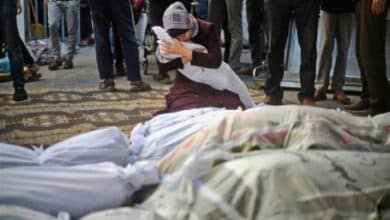 أكثر من 60 شهيداً في غزة منذ الفجر ومراكز المساعدات تتحول إلى مصائد موت