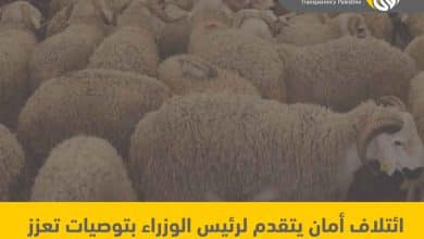 ائتلاف أمان يتقدم لرئيس الوزراء بتوصيات تعزز من حوكمة نظام الكوتا والقوائم السلعية