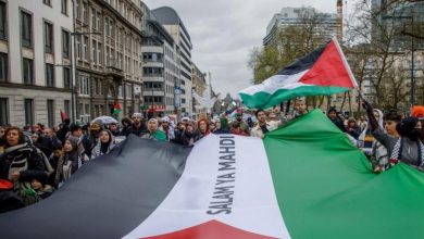بلجيكا تتعهد بتصعيد لهجتها تجاه الاحتلال وتصف أوضاع غزة بالكارثة الإنسانية الكبرى