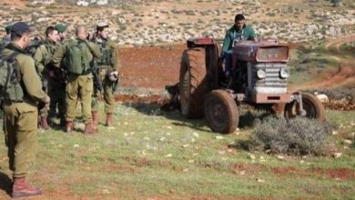 الاحتلال يعيق عمل المزارعين في الأغوار الشمالية