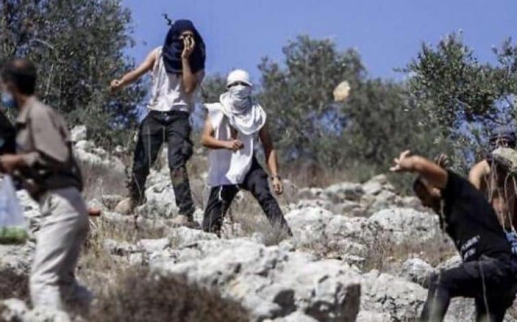 مستوطنون يعتدون على مواطنين في الأغوار الشمالية