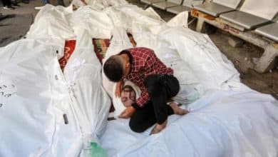 الاحتلال يستهدف منتظري المساعدات في غزة: 17 شهيدًا اليوم وارتفاع حصيلة "ضحايا لقمة العيش" إلى 467 شهيدًا