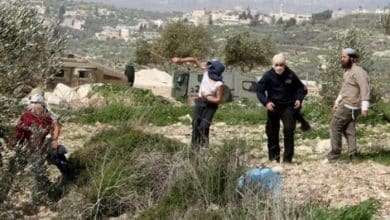 مستوطنون يهاجمون قرية المغير شمال شرق رام الله