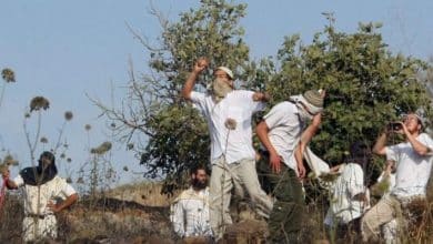 مستوطنون مستوطنين