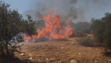 مستوطنون يحرقون أراض في برقة شمال غرب نابلس