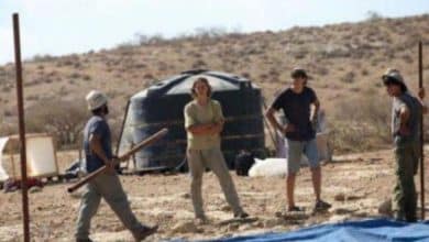 مستوطنون يخربون مزروعات المواطنين ويسرقون حمارا بمسافر يطا