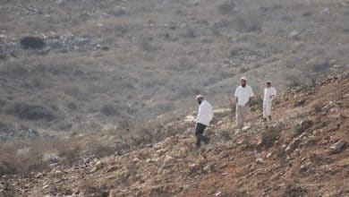 مستوطنون يدمرون أراضي زراعية جنوب نابلس