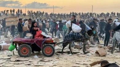 سكان غزة يموتون جوعاً… وإسرائيل تواصل ارتكاب الابادة الجماعية، وقتل طالبي المساعدات المجوعين