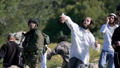 مستوطنون يشنّون هجمات متزامنة في الأغوار ويطا وكفر مالك... وإصابات بين المواطنين