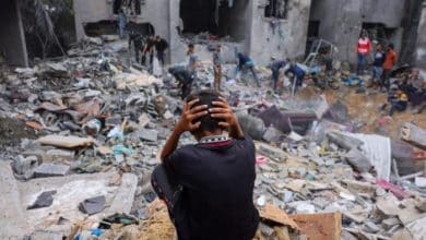 مؤسسات حقوقية تكذب ويتكوف: المجاعة في غزة حقيقة موثقة لا تلغيها التصريحات