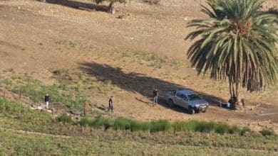 منظمة البيدر: مستوطنون يعتدون على نبع ماء في الأغوار الشمالية ويمنعون المواطنين من ري مواشيهم