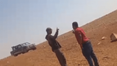 منظمة البيدر: مستوطنون يهاجمون تجمع أم الحسن المهجّر جنوب شرق بيت لحم