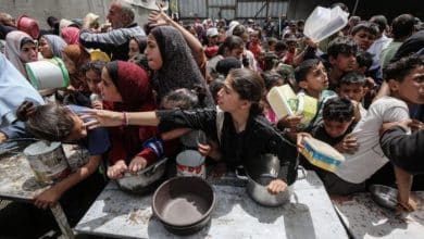 غزة: 5 شهداء جدد نتيجة التجويع.. و266 شاحنة مساعدات من أصل 1800 دخلت القطاع