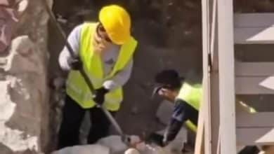محافظة القدس: الاحتلال يدمّر آثارا إسلامية أموية أسفل المسجد الأقصى لإخفاء الحقائق التاريخية