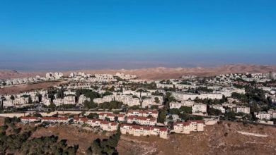 80 منظمة دولية تطالب بإنهاء التجارة مع المستوطنات الإسرائيلية المقامة في الأراضي الفلسطينية