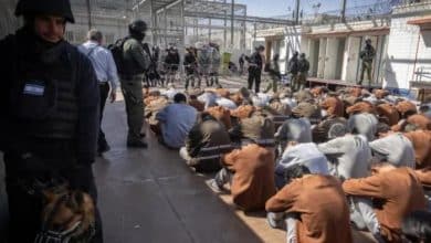 أكثر من 19 ألف حالة اعتقال و77 شهيدًا في سجون الاحتلال منذ بدء حرب الإبادة