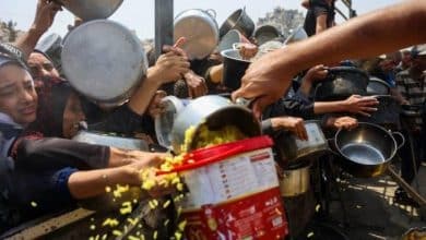 ضحايا التجويع في غزة يرتفعون إلى 442 شهيداً بينهم 147 طفلاً