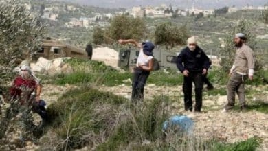 إصابة مسنة ومتضامنتين أجنبيتين في هجوم للمستوطنين جنوب الخليل