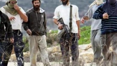 مستوطن يدهس طفلة في السموع جنوب الخليل