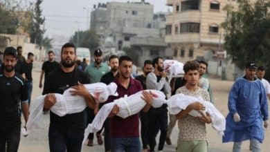 الأطفال الشهداء في غزة يتخطون الـ20 ألفاً.. الاحتلال يقتل طفلاً على الأقل كل ساعة