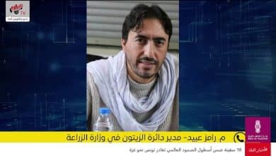 وزارة الزراعة: تقييم موسم الزيتون وضعف الإنتاج هذا العام