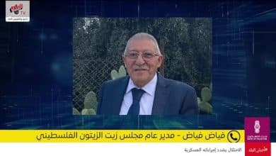 توقعات موسم الزيتون: الإنتاج والجودة والأسعار هذا العام