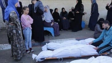 الإعلام الحكومي في غزة: الاحتلال ارتكب 47 انتهاكا لوقف إطلاق النار