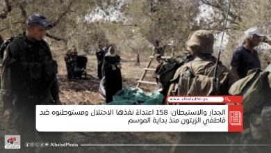الجدار والاستيطان: 158 اعتداءً نفذها الاحتلال ومستوطنوه ضد قاطفي الزيتون منذ بداية الموسم