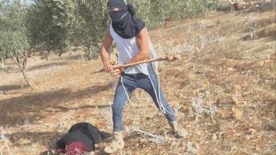 مستوطن يعتدي بوحشية على سيدة في قرية المغير