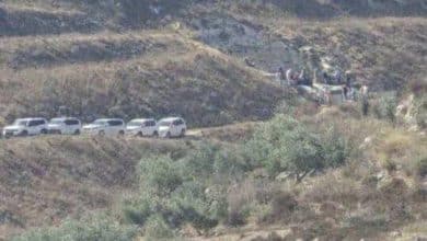 مستوطنون يواصلون العمل في أراضٍ زراعية استولوا عليها بالأغوار