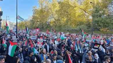 مئات الآلاف يتظاهرون في أمستردام رفضًا للحرب على غزة