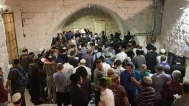 عشرات المستوطنين يقتحمون بلدة كفل حارس في سلفيت