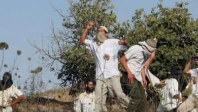مستوطنون يصيبون مواطنًا بالرصاص الحي في صوريف وآخرون يعتدون على المواطنين في يطا وبيت أمر