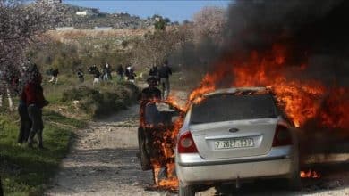 مستوطنون يهاجمون قرية يبرود وبلدة بيت فجار