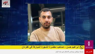 تقييم موسم زيت الزيتون وجودته هذا العام مقارنة بالأعوام السابقة