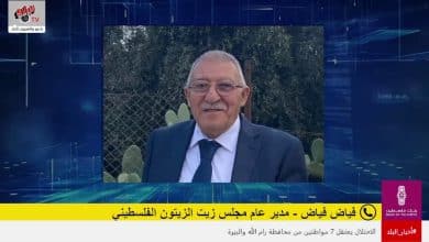 أسعار زيت الزيتون هذا العام.. بين المنطقية وتحديات السوق