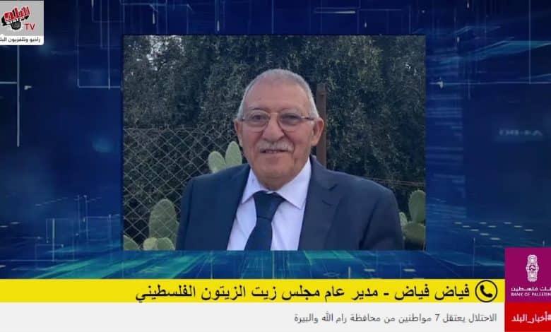 أسعار زيت الزيتون هذا العام.. بين المنطقية وتحديات السوق