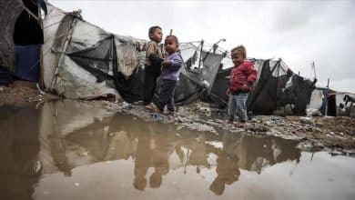 36 يوما على وقف النار في غزة وسط أوضاع إنسانية كارثية وخروقات الاحتلال متواصلة