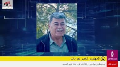 زراعة الأناناس في فلسطين.. تجربة جديدة ونجاح متصاعد