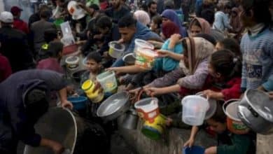 الأمم المتحدة: 96% من سكان غزة يواجهون مستويات كارثية من انعدام الأمن الغذائي