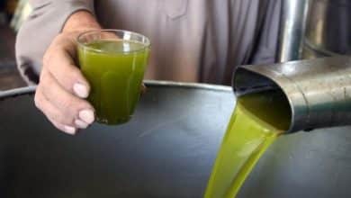 وزارة الزراعة تصدر بيانا توضيحيا حول إجراءات فحص وضبط حالات غش زيت الزيتون