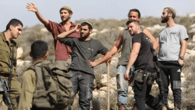 مستوطنون يعتدون بالضرب على مزارعين ويحطمون أشجار زيتون في ديربلوط