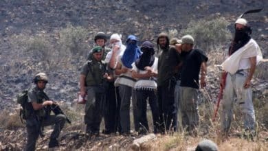 مستوطنون يعتدون على عمّال وقاطفي زيتون في بيت دقّو شمال غرب القدس