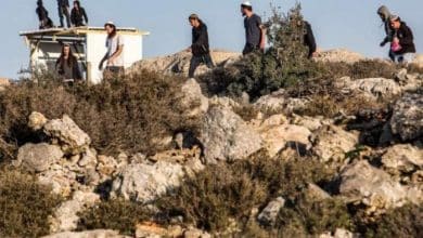 مستوطنون يقتحمون تجمعي مكحول وسمرة بالأغوار الشمالية