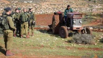 الاحتلال يعتقل مواطنا من الأغوار الشمالية