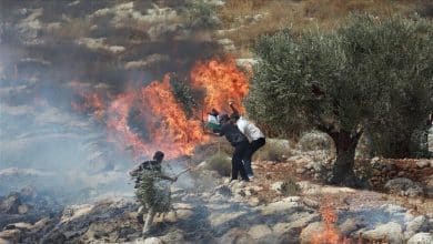مستوطنون يحرقون أراضي زراعية شمال رام الله