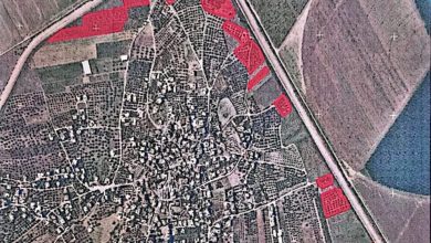 الاحتلال يصدر أمراً عسكرياً بإزالة الأشجار على مساحة 59 دونماً من محافظة جنين