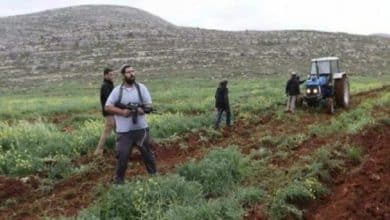 مستوطنون مستوطنين يحرثون حرث