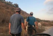 مستوطنون مستوطنين